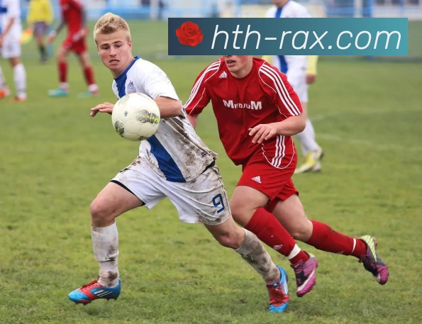 华体会官网全站App